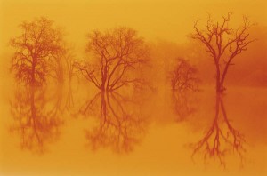Why do some dreams linger longer than others?