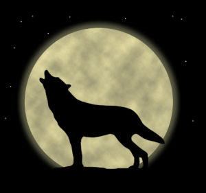 Pat Hession invited me onto his show to comment on the possible effect of the full moon on dreams. Pat Hession invited me onto his show to comment on the possible effect of the full moon on dreams.