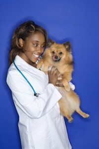 Margaret’s dream featured a dog at a vet surgery. It was about how she handles situations.