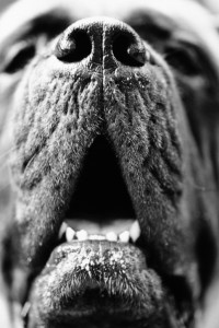 What happens when you instinctively follow your nose? What happens when you instinctively follow your nose?