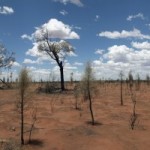 Dream interpretation Landscapes Dream interpretation Landscapes