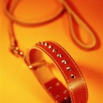 The leashes that bind The leashes that bind