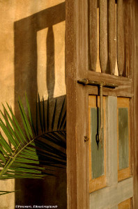 The open door The open door