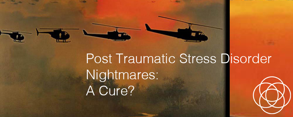 Post Traumatic Stress Disorder PTSD Nightmares A Cure Jane Teresa Anderson