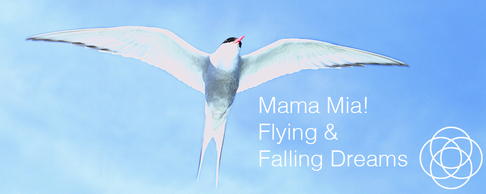Mama Mia Flying and Falling Dreams Jane Teresa Anderson