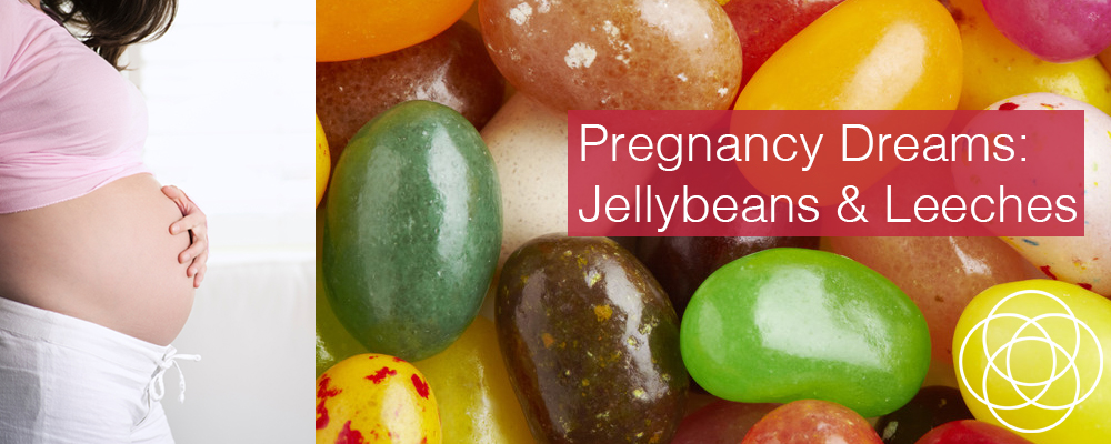 Pregnancy Dreams Jellybeans and Leeches Jane Teresa Anderson