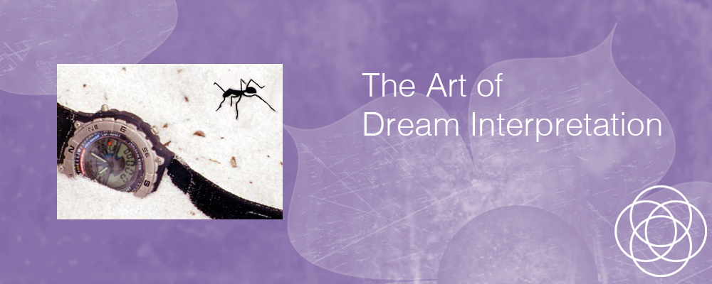 The Art of Dream Interpretation Jane Teresa Anderson