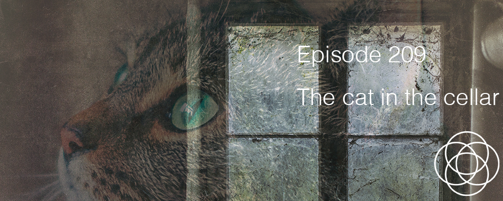 Episode 209 The cat in the cellar Jane Teresa Anderson