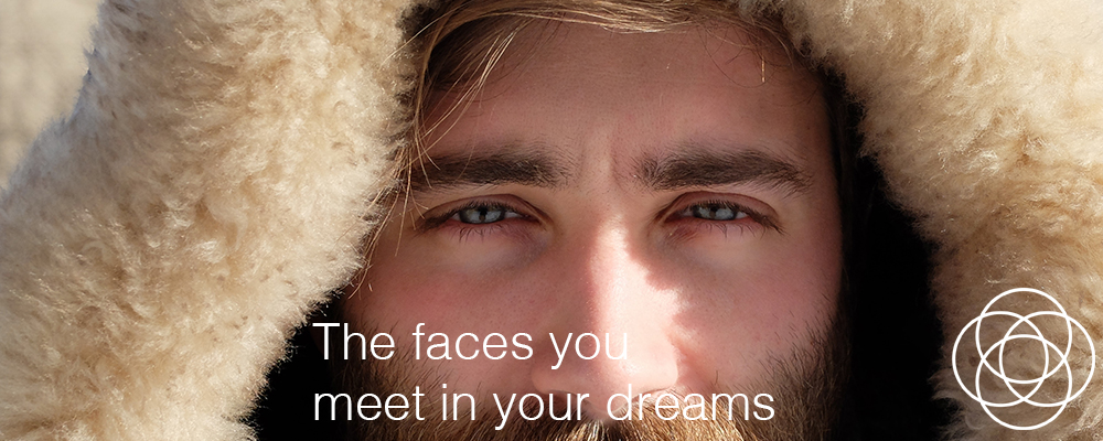 The faces you meet in your dreams Jane Teresa Anderson