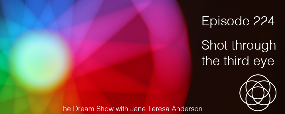 Episode 224 The Dream Show Jane Teresa Anderson
