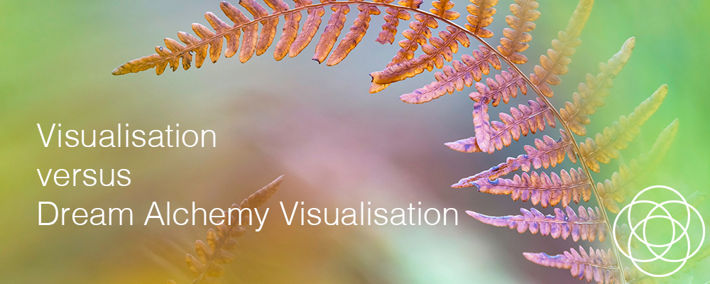 Visualisation versus Dream Alchemy Visualisation Jane Teresa Anderson