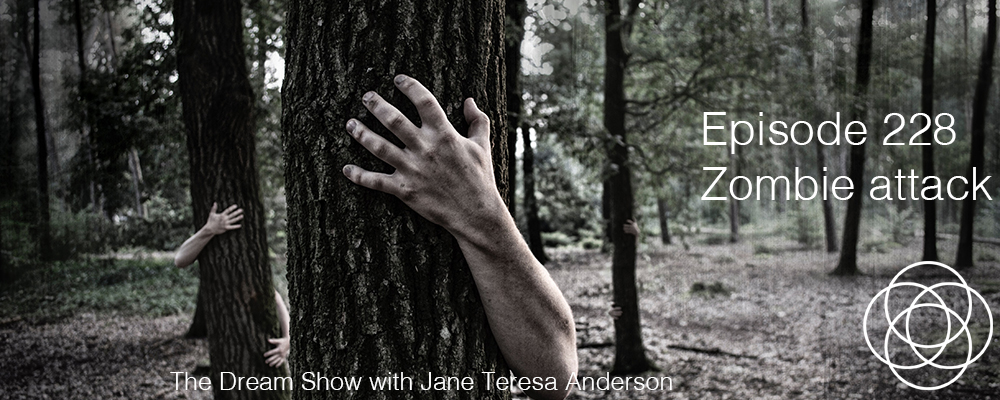 Episode 228 The Dream Show Jane Teresa Anderson