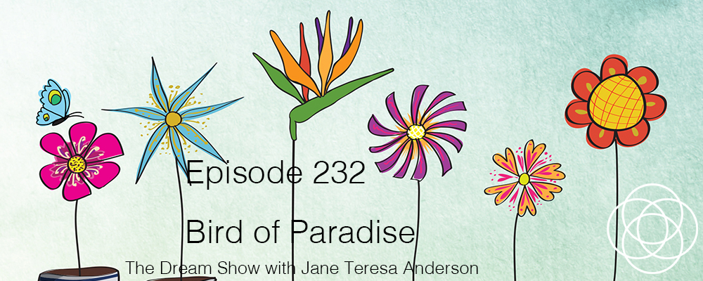 Episode 232 The Dream Show Jane Teresa Anderson