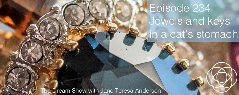 Episode 234 The Dream Show Jane Teresa Anderson
