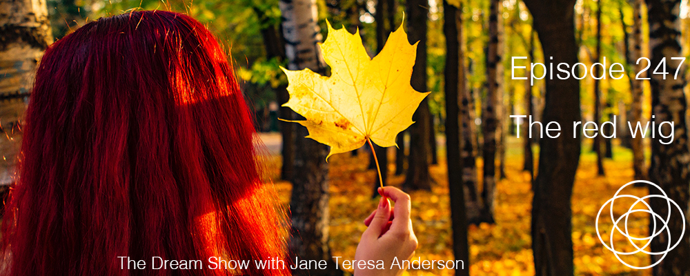 Episode 247 The Dream Show Jane Teresa Anderson