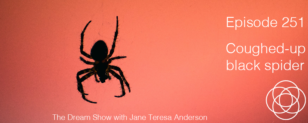 Episode 251 The Dream Show Jane Teresa Anderson