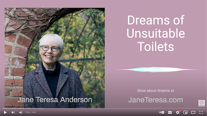 Dreams of unsuitable toilets video