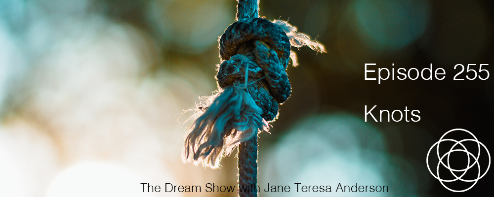 Episode 255 The Dream Show Jane Teresa Anderson