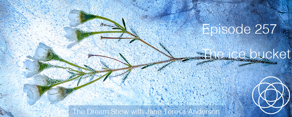 Episode 257 The Dream Show Jane Teresa Anderson
