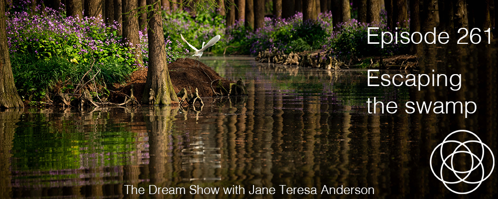 Episode 261 The Dream Show Escaping the swamp Jane Teresa Anderson