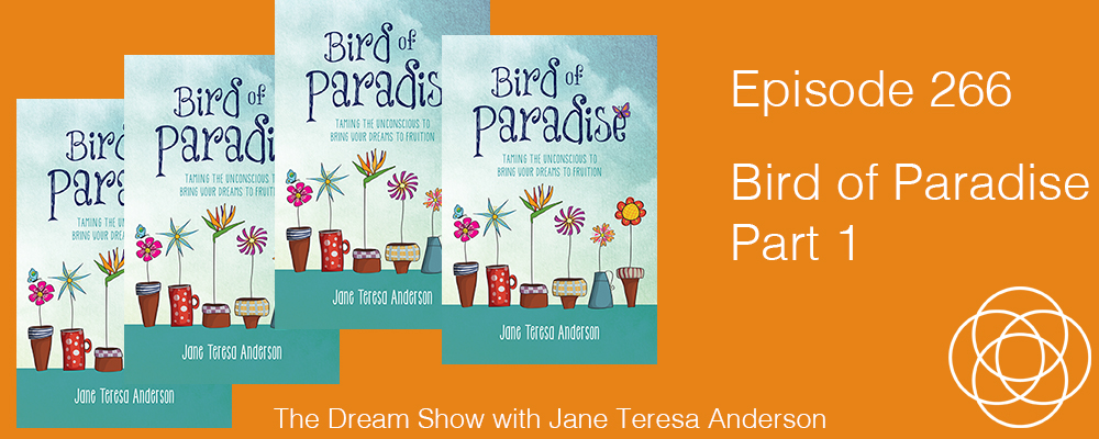 Episode 266 Bird of Paradise Part 1 The Dream Show Jane Teresa Anderson