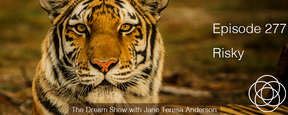 Episode 277 The Dream Show Jane Teresa Anderson