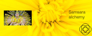 Samsara Alchemy Jane Teresa Anderson Dreams