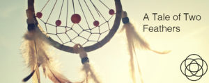 Dream consultation by email and A Tale of Two Feathers Jane Teresa Anderson