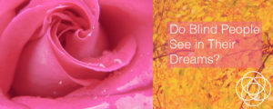 Do Blind People See In Their Dreams Jane Teresa Anderson