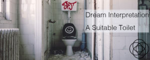Dream Interpretation A Suitable Toilet Jane Teresa Anderson