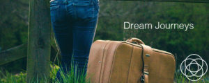 Dream Journeys Jane Teresa Anderson