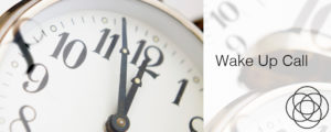Wake Up Call Jane Teresa Anderson Dreams
