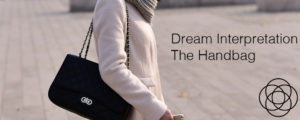 Dream Interpretation The Handbag Jane Teresa Anderson