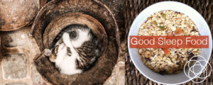 Good Sleep Food Jane Teresa Anderson Dreams