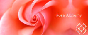 Rose Alchemy Jane Teresa Anderson Dreams