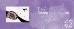 The Art of Dream Interpretation Jane Teresa Anderson