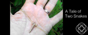 A Tale of Two Snakes Jane Teresa Anderson Dreams
