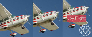 Joy Flight Jane Teresa Anderson Dreams