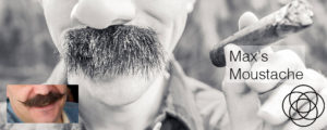 Maxs Moustache Jane Teresa Anderson Dreams
