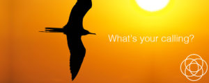 What's your calling Jane Teresa Anderson Dreams