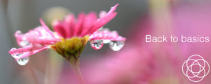 Back to basics dream interpretation tips Jane Teresa Anderson Dreams