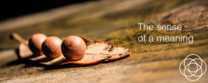 The Sense of a Meaning Jane Teresa Anderson Dreams
