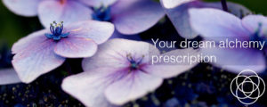 Your dream alchemy prescription Jane Teresa Anderson