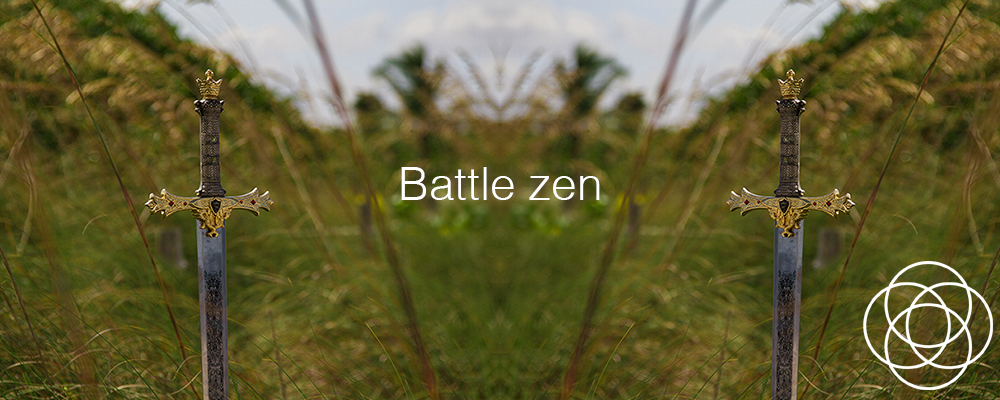 Battle Zen – In your dreams by Jane Teresa Anderson