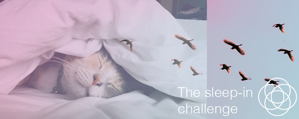The sleep-in challenge – In your dreams by Jane Teresa Anderson