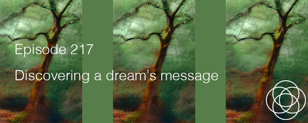 Episode 217 The Dream Show Discovering a dream's message Jane Teresa Anderson