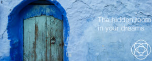 The hidden room in your dreams Jane Teresa Anderson