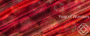 Year of Wonders Jane Teresa Anderson