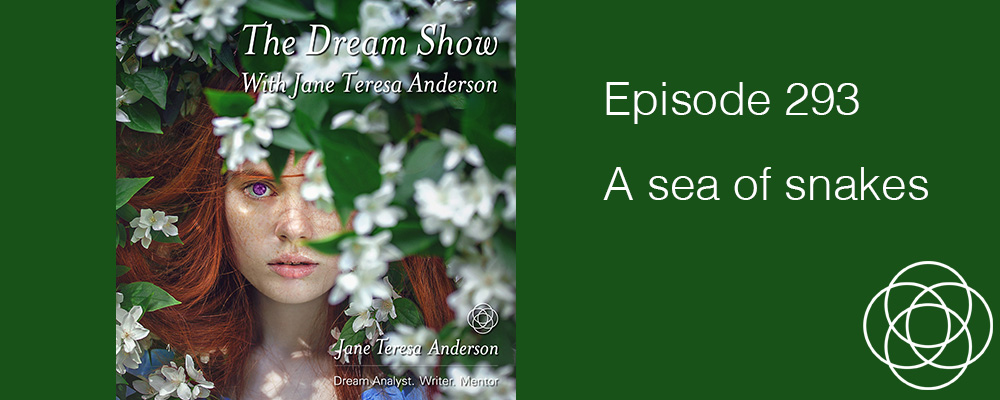 Episode 293 The Dream Show Jane Teresa Anderson