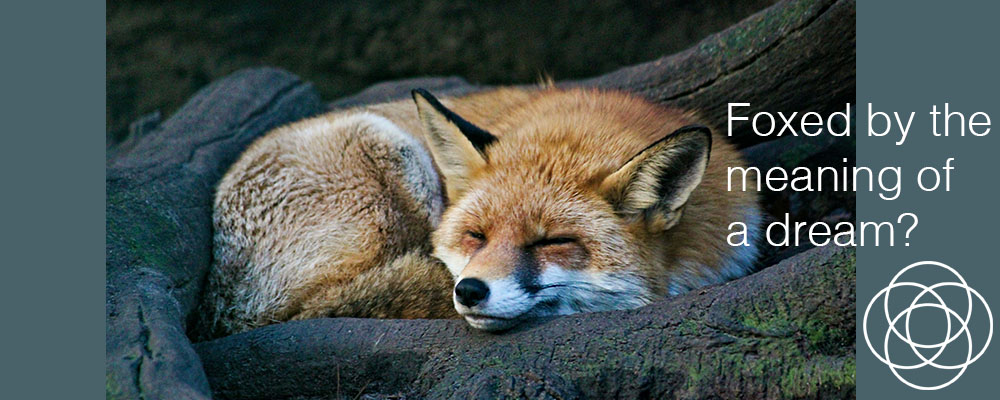 Foxed by the meaning of a dream
